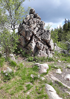 Александровская Cопка
